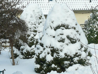 Offene Gärten 2470.jpg