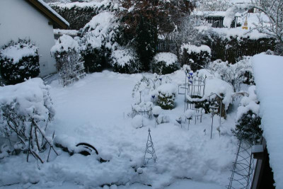 Winter9019e.JPG
