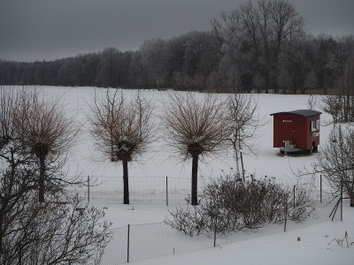 Kopfweiden 12.2.2021 ue.JPG