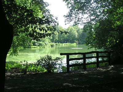 Ge-Park-1.jpg