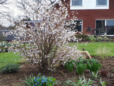 20190403_165054.jpg