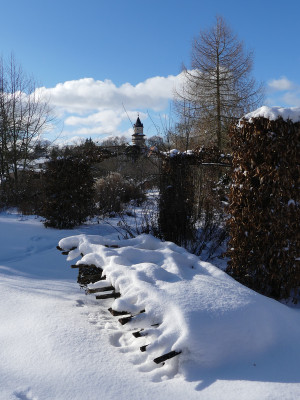 2021-02-12 Garteneinblick 6.jpg