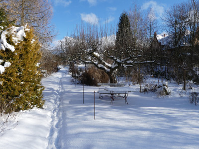 2021-02-12 Garteneinblick 11.jpg
