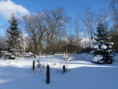 2021-02-12 Gartenimpressionen 2.jpg