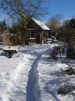 2021-02-12 Gartenimpressionen 1.jpg