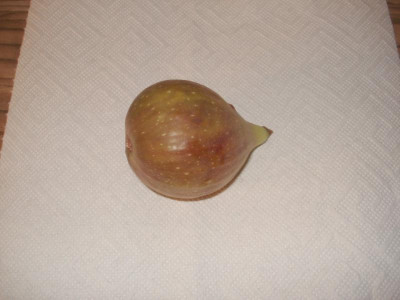 Longued'A_230810.jpg