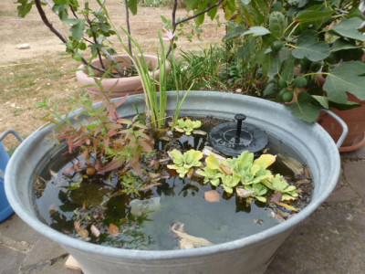 P1260054.JPG