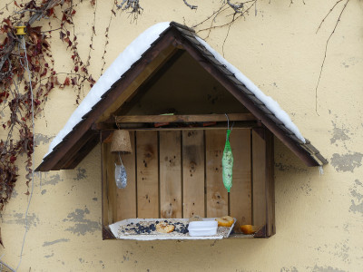 2021-02-13 Futterhaus.jpg