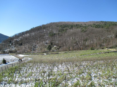 IMG_2403.JPG