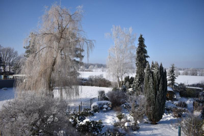 DSC_0436.JPG