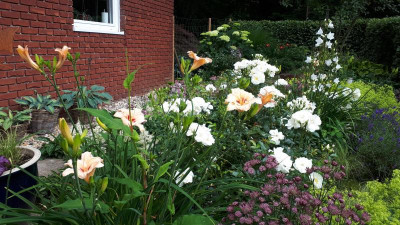 20200701_133325.jpg
