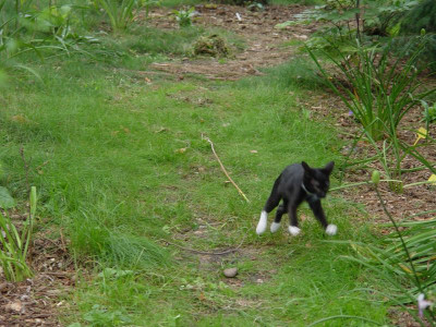 DSC00044.JPG
