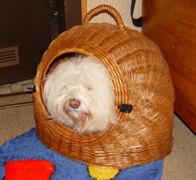 DSC00005.JPG