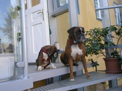 P1100255.JPG