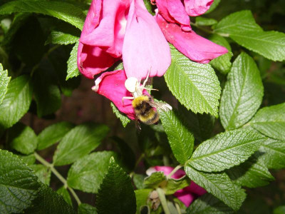 DSC00007.JPG
