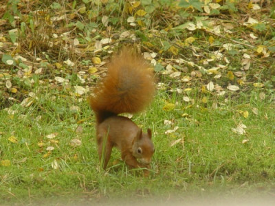 DSC00012.JPG