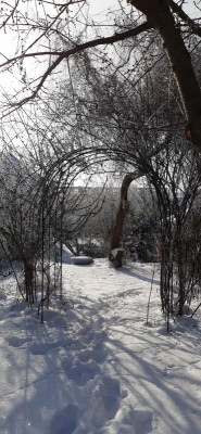 20210214_095631.jpg