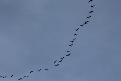 IMG_2614.JPG