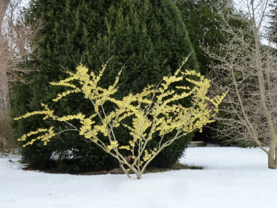 tg_210217_2.jpg
