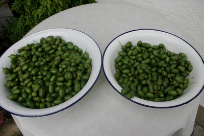 Weiki0207.jpg