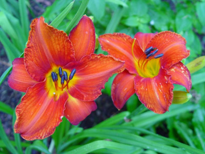 DSC00003.JPG