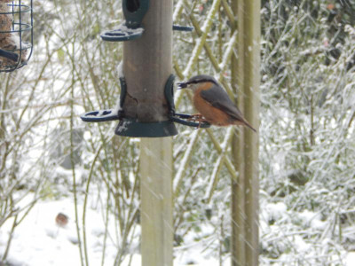 DSCN1527.JPG