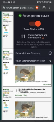 Screenshot_20210218-144608_Brave.jpg