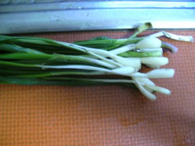 Knoblauch_-_Zwiebel.jpg