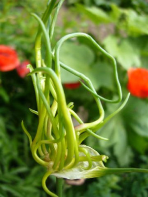 01.06.2007.6.JPG