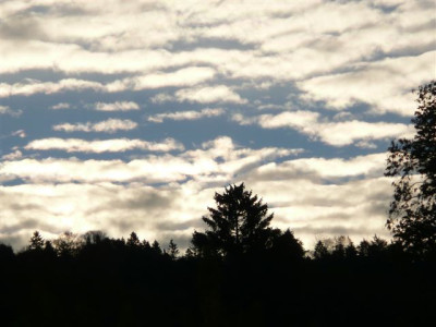 29.10.2007.1.JPG