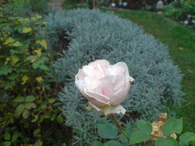 sdm_okt_07_29.JPG