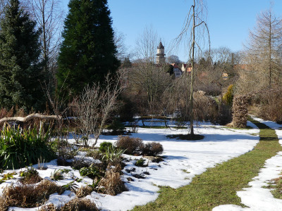 2021-02-22 Garteneinblick 1.jpg