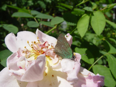 DSC00041.JPG