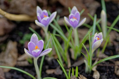DSC_3408_DxO.jpg