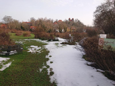 DSC_6145.JPG