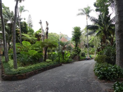 2020-09-20 Funchal P1180218.JPG