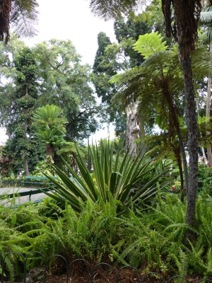 2020-09-20 Funchal P1180236.JPG
