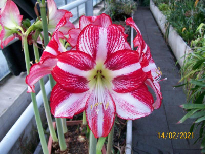 100_7865.JPG