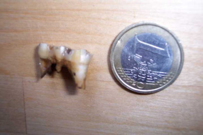 K640_100_4577.JPG