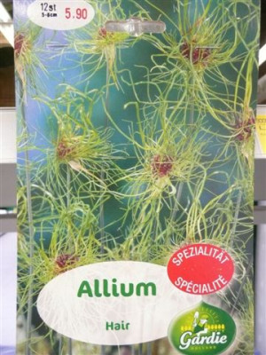 Allium.Hair.JPG
