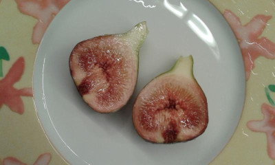 20190826_210847.jpg
