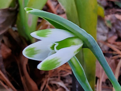 20210225_170043.jpg