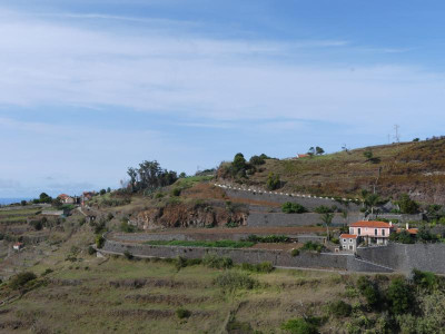 P1160226.JPG