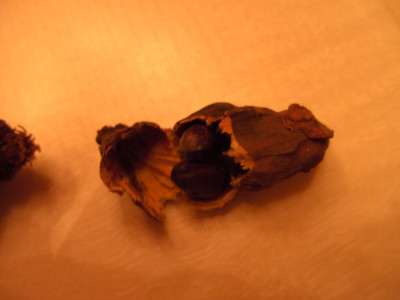 BILD1370.JPG