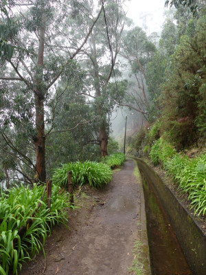2020-09-16 Levada da Ribeira da Janela P1160535.JPG