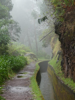 2020-09-16 Levada da Ribeira da Janela P1160544.JPG