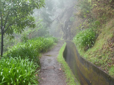 2020-09-16 Levada da Ribeira da Janela P1160545.JPG