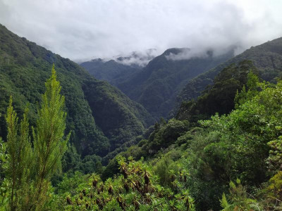 2020-09-16 Levada da Ribeira da Janela 1600268390346.jpg