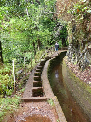 2020-09-16 Levada da Ribeira da Janela P1160583.JPG