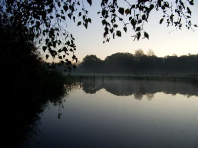 Novembermorgen.JPG